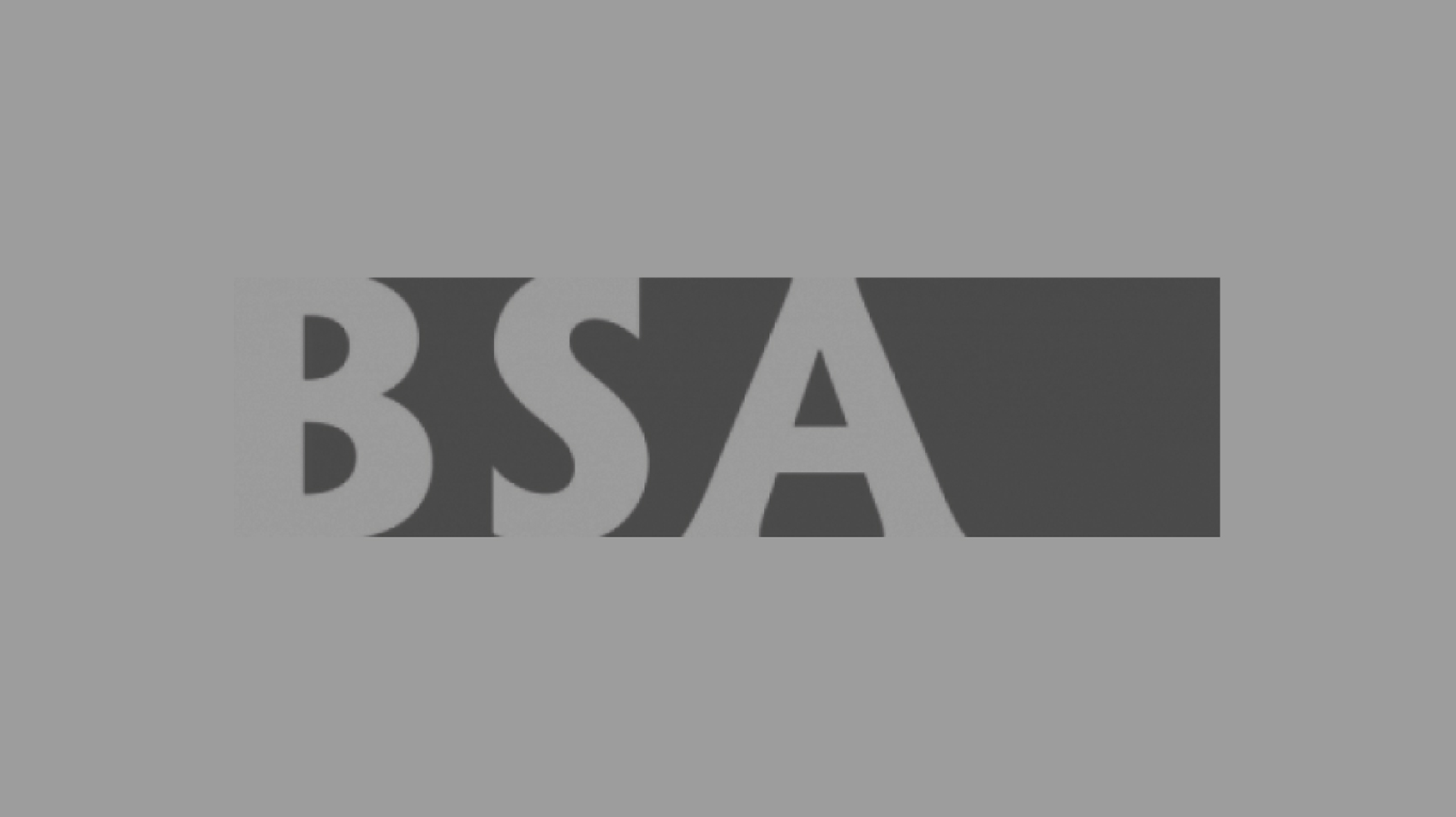 BSA Logo grau 